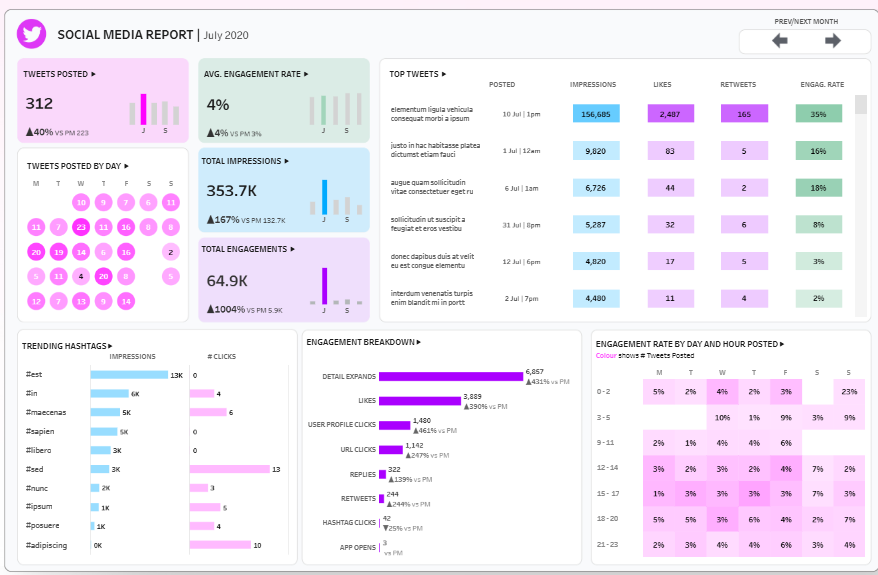#6 Social Media Analytics Dashboard Example - Social Media Monthly Report